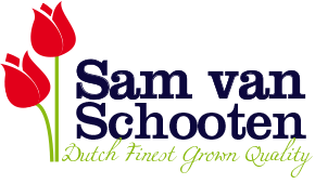 Sam van Schooten