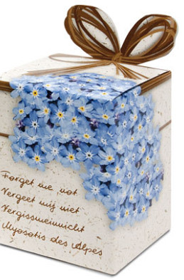 Greengifts Forget me Not x40 I .
