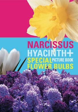 Picture book about daffodils and hyacinths