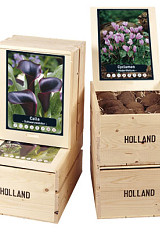 Wooden Showcrates