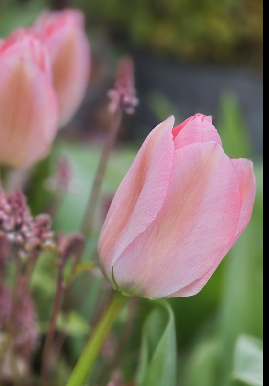 Mystic van Eijk 10/11