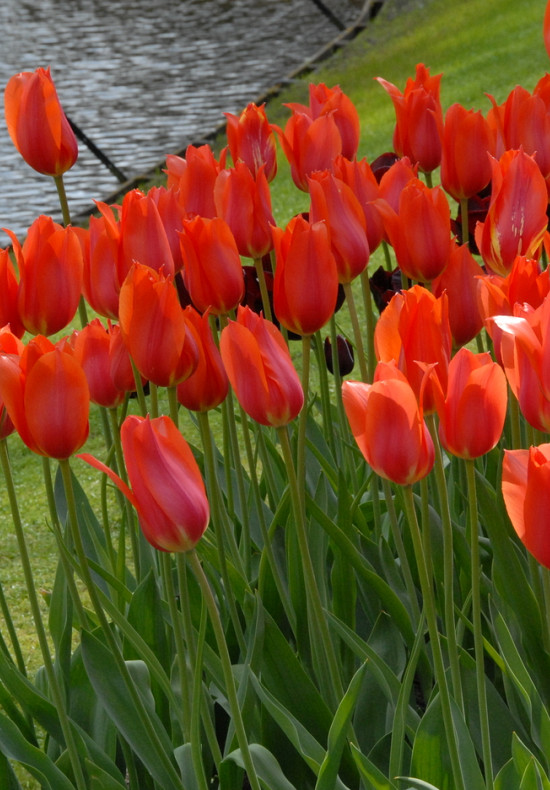 Temple of Beauty 12/+