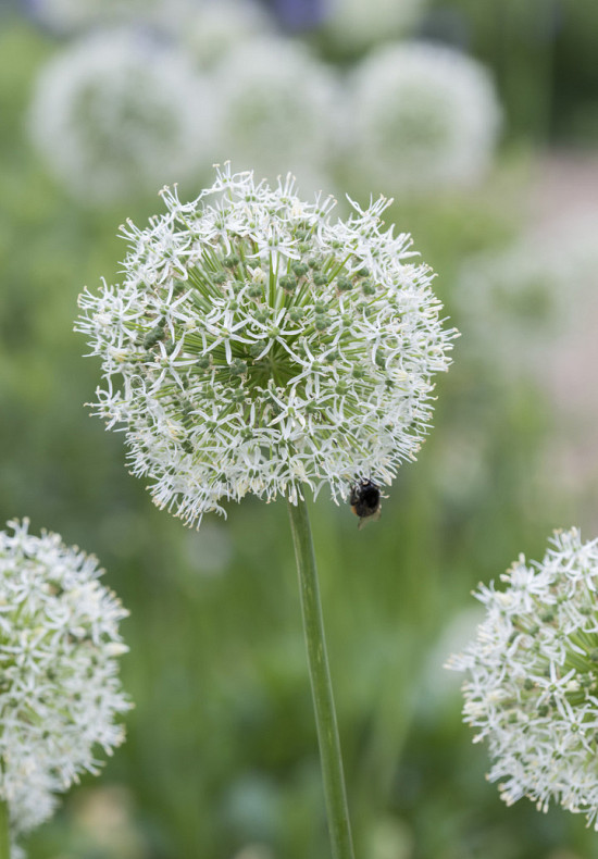 5429 mount everest 2022 7846