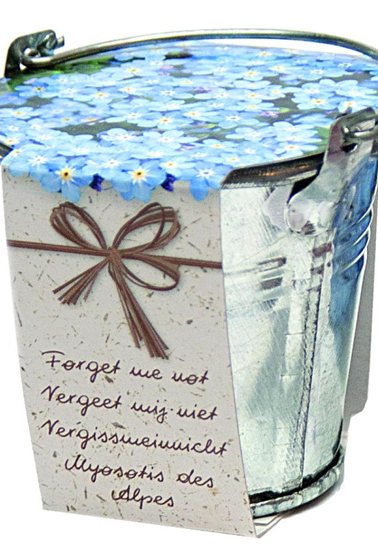 Bucket Forget me Not x36 .