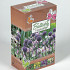 Butterfly  flowerbulb collection ( allium ,siculum , narcissus , anemone ) .